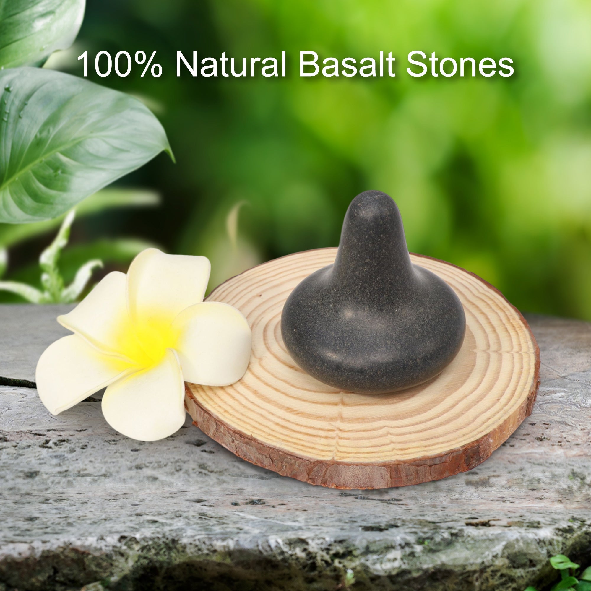 Master Massage paddenstoelvormige basaltsteen voor hotstonemassage triggerpoint-tool 1 st.